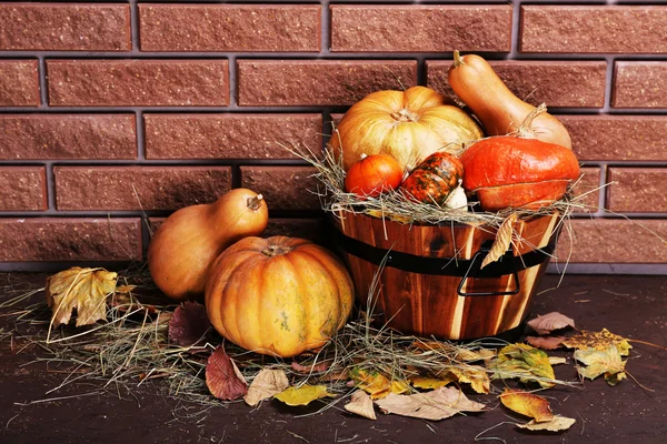 Citrouilles dans une baignoire en bois — Photo