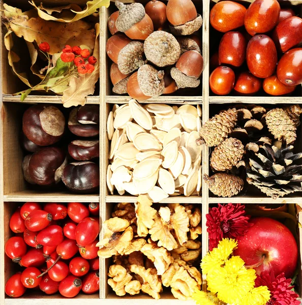 Autumn composition in decorative wooden box, on wooden table — Stock Photo, Image