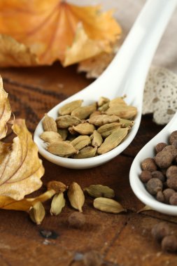 kaşık içinde farklı baharatlar