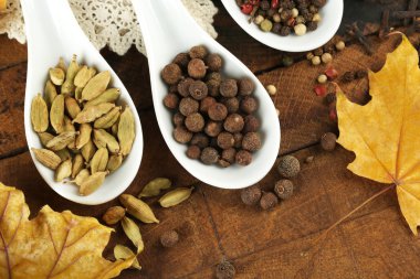 kaşık içinde farklı baharatlar