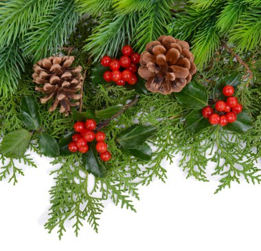 Güzel Noel sınırdan köknar