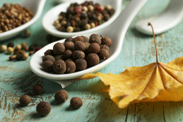 Different spices in spoons — Stock Photo, Image