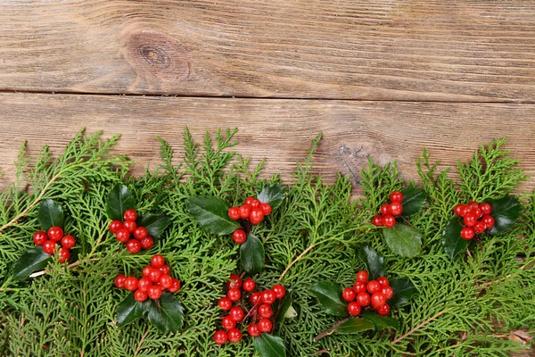 Güzel Noel sınırdan köknar — Stok fotoğraf