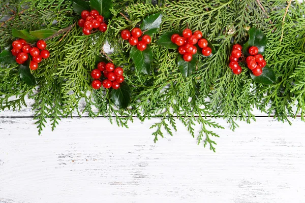 Belle frontière de Noël de sapin — Photo