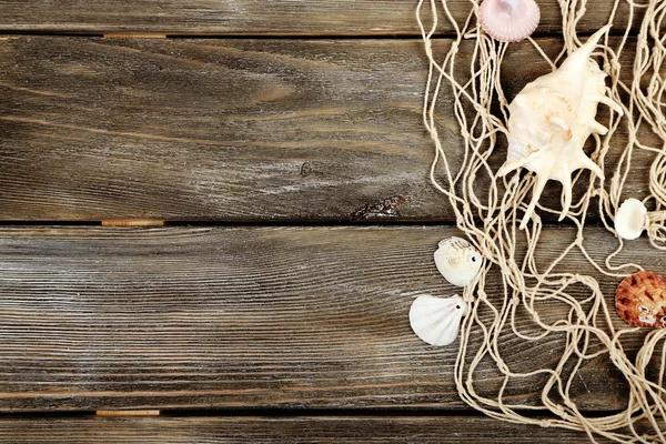 Decor of seashells on wood — Stock Photo, Image