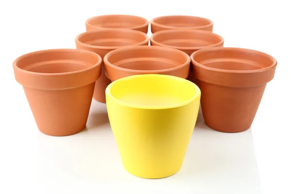 Pots de fleurs jaunes et marron — Photo