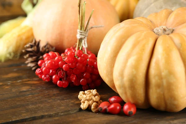 Schöne Herbstkomposition — Stockfoto