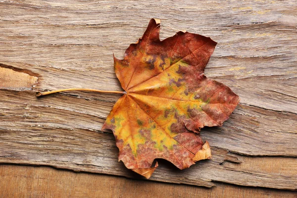 Ahşap zemin üzerinde sonbahar yaprağı — Stok fotoğraf