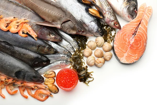 Captura de peixes e outros frutos do mar — Fotografia de Stock