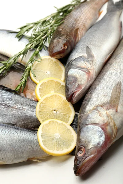 レモンとローズマリーと魚 — ストック写真