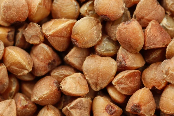 Karabuğday Close-Up