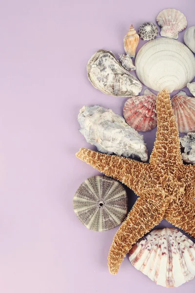 Mořské mušle a upomínkové předměty — Stock fotografie