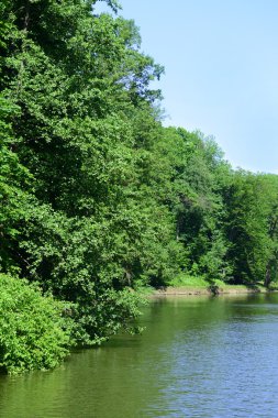 Park bölgesinde kanal