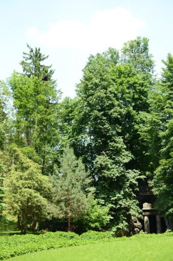 Güzel park açık havada