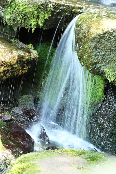 Beautiful waterfall in park — Stock Photo, Image