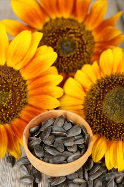 Ayçiçeği ve tohum kase kapat