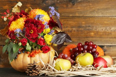 güzel sonbahar kompozisyon