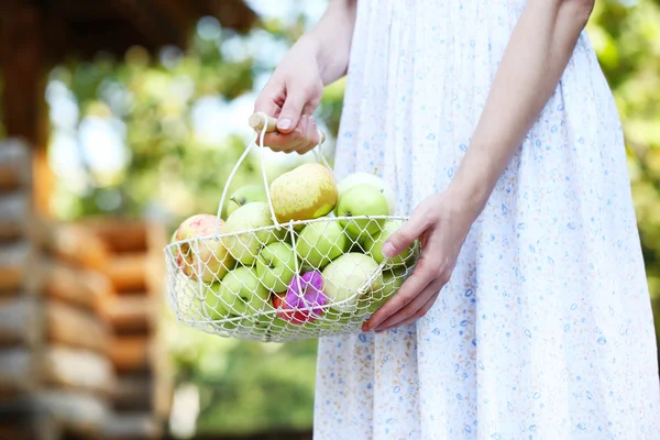 Niña sosteniendo cesta de manzanas al aire libre —  Fotos de Stock