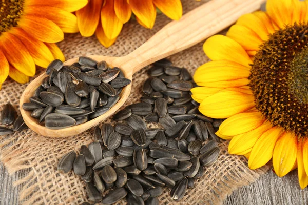 Sunflowers and seeds with spoon on table close up — Stock Photo, Image