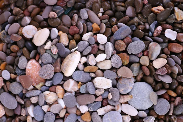 Fondo de piedras marinas —  Fotos de Stock