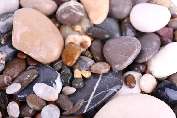 Sfondo di pietre marine — Foto Stock