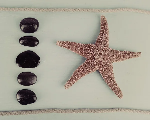 Sea shell souvenirs — Stock Photo, Image