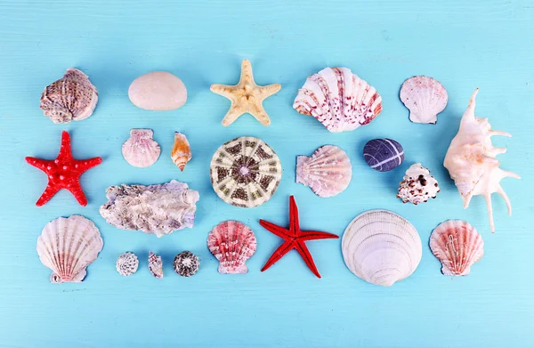 Sea shell souvenirs — Stock Photo, Image