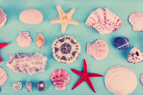 Sea shell souvenirs — Stock Photo, Image