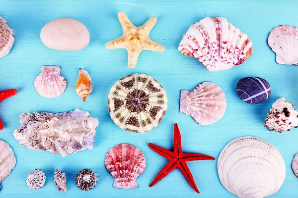 Sea shell souvenirs — Stock Photo, Image