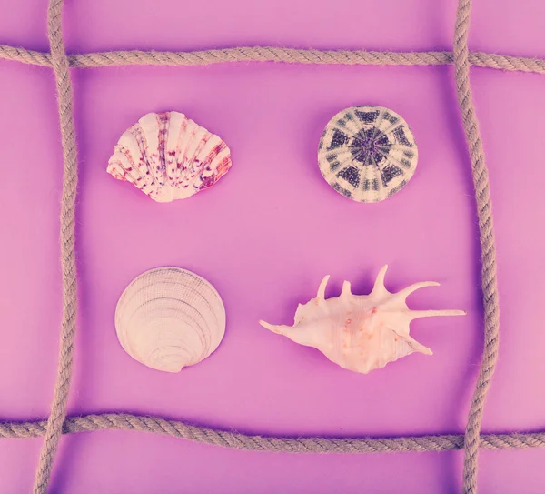 Sea shells souvenirs and rope — Stock Photo, Image