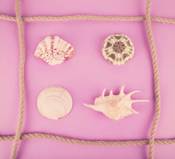 Sea shells souvenirs and rope — Stock Photo, Image