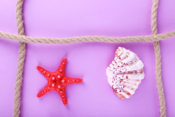 Sea shells souvenirs and rope — Stock Photo, Image