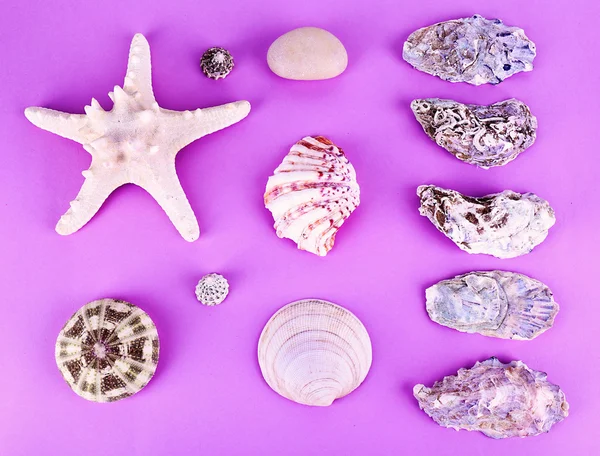 Sea shells souvenirs — Stock Photo, Image