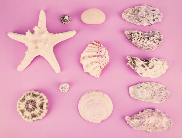 Sea shells souvenirs — Stock Photo, Image