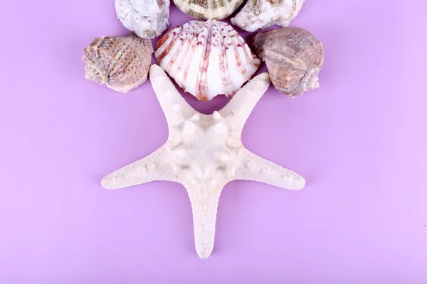 Sea shell souvenirs — Stock Photo, Image