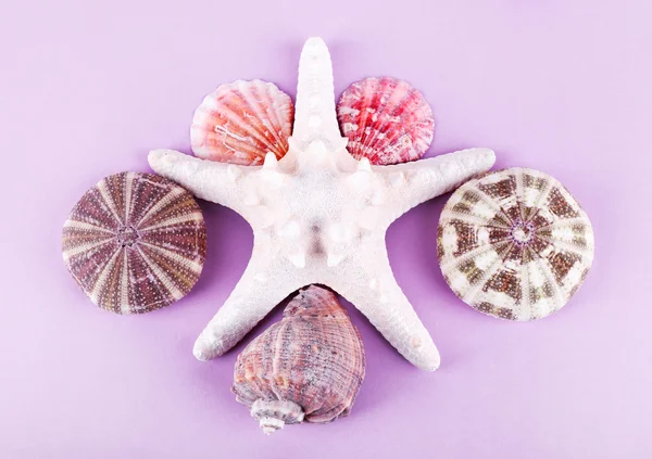 Mořské suvenýry na fialovém pozadí — Stock fotografie
