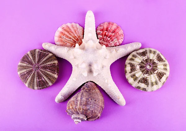 Sea souvenirs on purple background — Stock Photo, Image