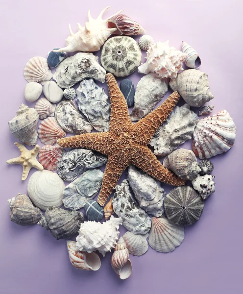 Meer Souvenirs auf violettem Hintergrund — Stockfoto