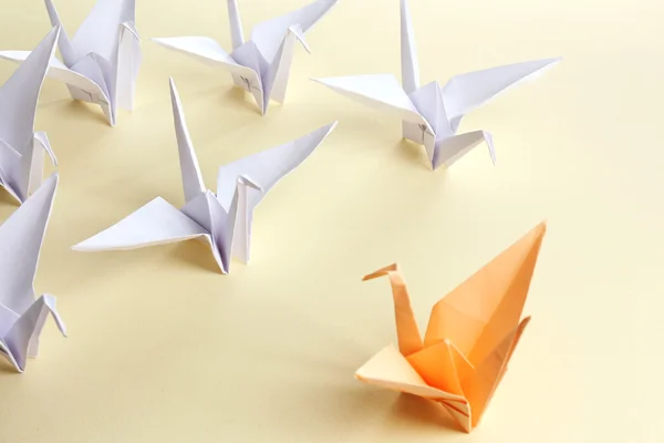 Individuality concept with Origami birds — Stock fotografie