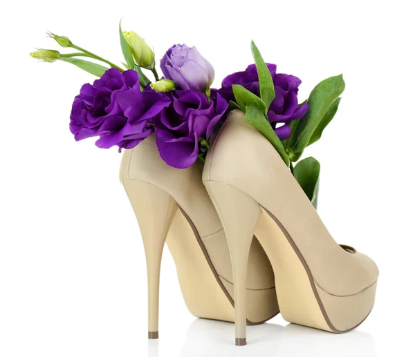 Sapatos de mulher bonita — Fotografia de Stock