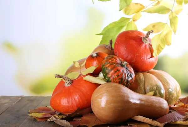 Pumpkins on wooden table on green branch background — Stock Photo, Image