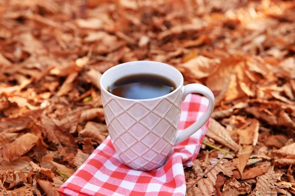 맛 있는 뜨거운 음료의 컵 — 스톡 사진
