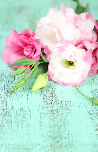 Beautiful eustoma flowers — Stock Photo, Image