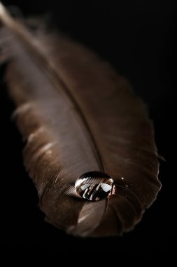 Su damlası ile tüy