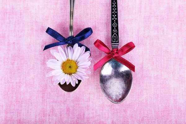 Metal spoons and chamomile — Stock Photo, Image