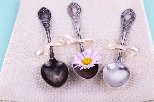 Metal spoons and camomile — Stock Photo, Image