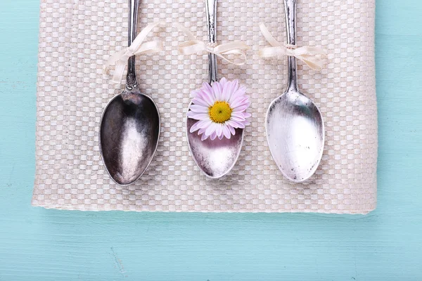 Metal spoons and camomile — Stock Photo, Image