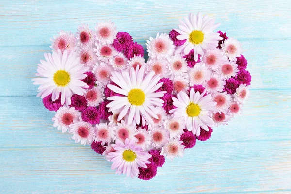 Beautiful flowers in heart shape — Stock Photo, Image