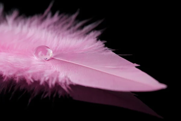 Pluma con gota de agua — Foto de Stock