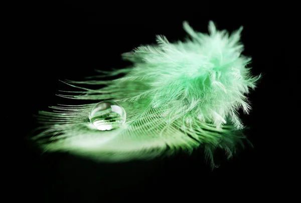 Pluma con gota de agua — Foto de Stock